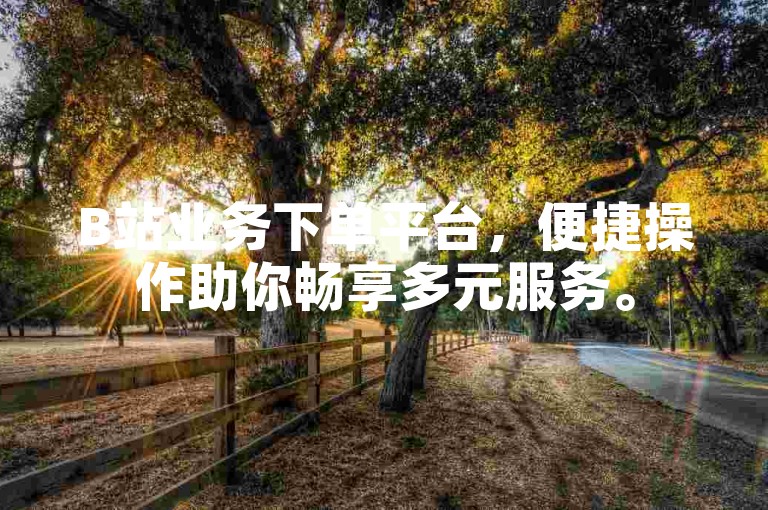 B站业务下单平台，便捷操作助你畅享多元服务。