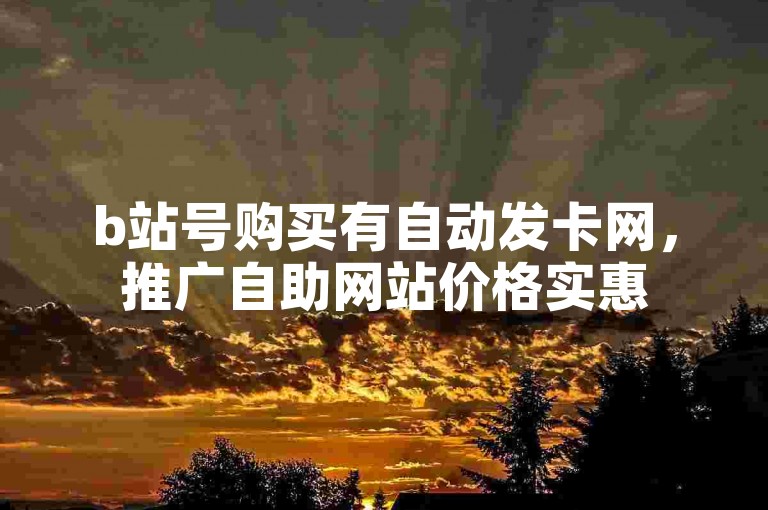 b站号购买有自动发卡网，推广自助网站价格实惠