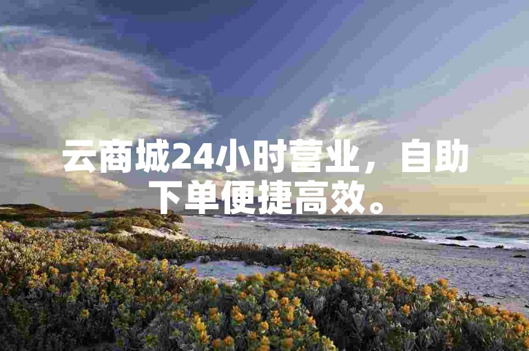 云商城24小时营业，自助下单便捷高效。