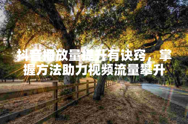 抖音播放量提升有诀窍，掌握方法助力视频流量攀升。