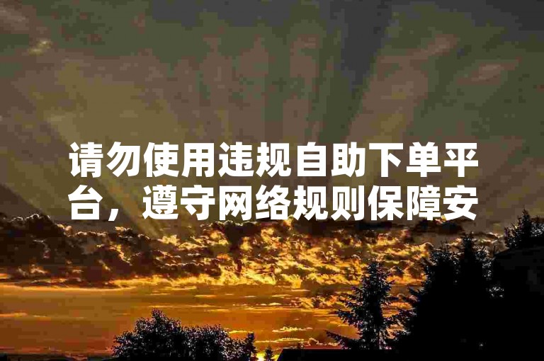 请勿使用违规自助下单平台，遵守网络规则保障安全。