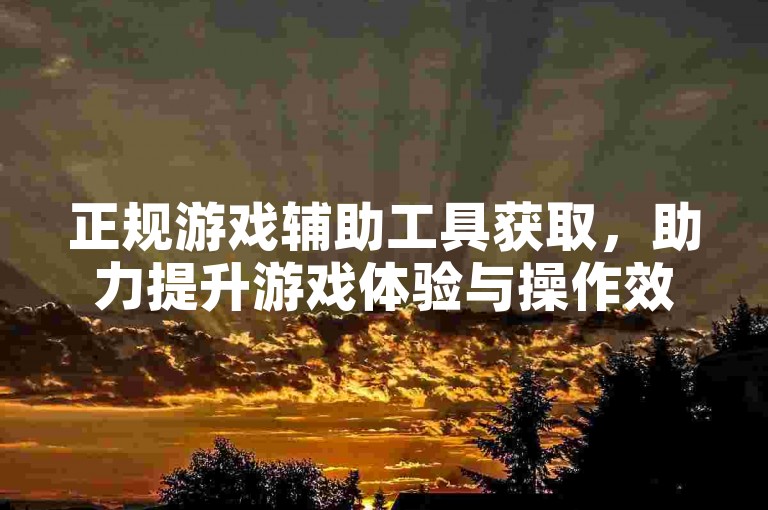 正规游戏辅助工具获取，助力提升游戏体验与操作效率。