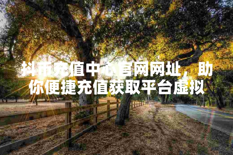抖币充值中心官网网址，助你便捷充值获取平台虚拟货币。