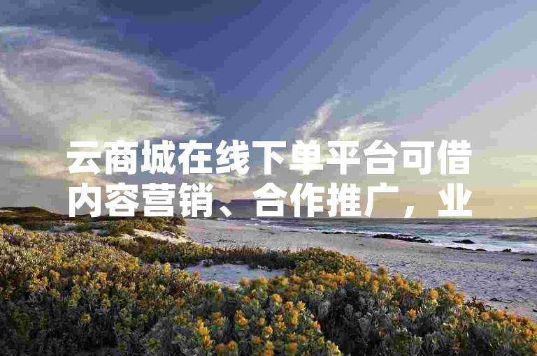 云商城在线下单平台可借内容营销、合作推广，业务推广员负责拓展渠道与维护客户。
