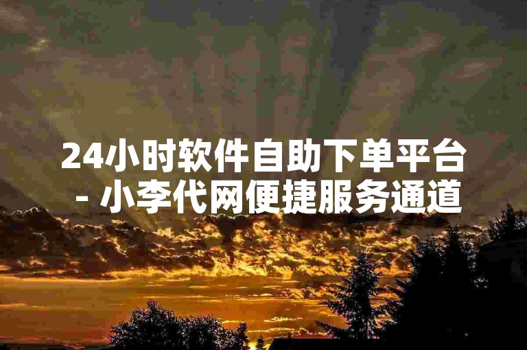 24小时软件自助下单平台 - 小李代网便捷服务通道