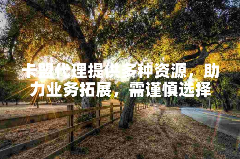 卡盟代理提供多种资源，助力业务拓展，需谨慎选择合规平台。