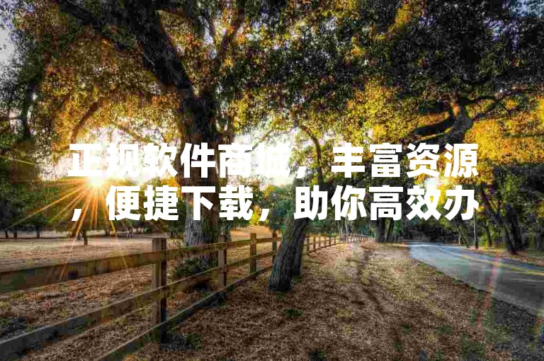 正规软件商城，丰富资源，便捷下载，助你高效办公娱乐。