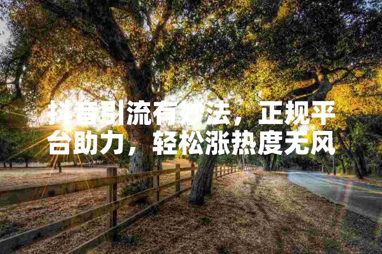 抖音引流有妙法，正规平台助力，轻松涨热度无风险。