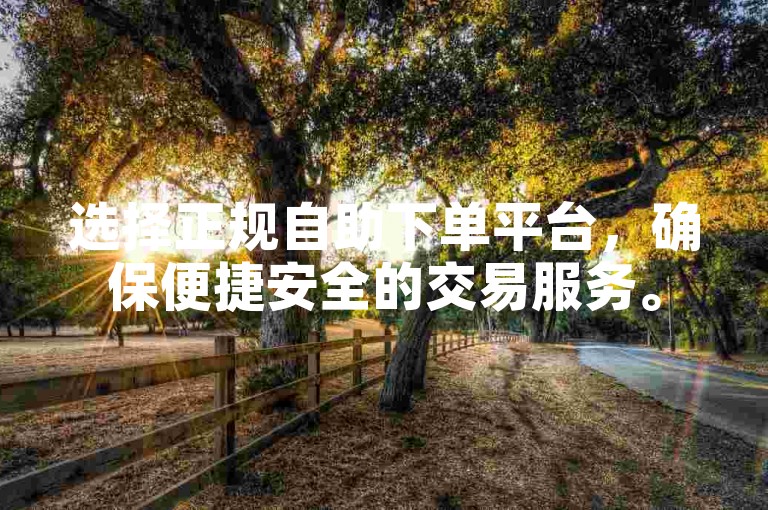 选择正规自助下单平台，确保便捷安全的交易服务。