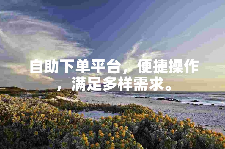 自助下单平台，便捷操作，满足多样需求。