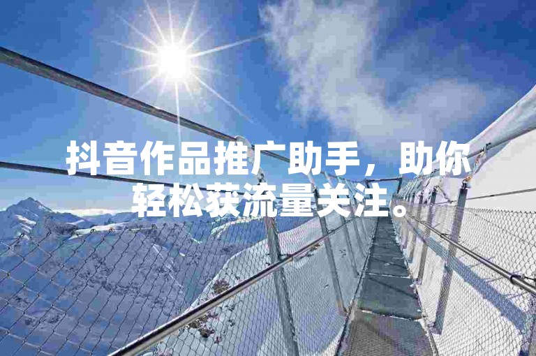 抖音作品推广助手，助你轻松获流量关注。
