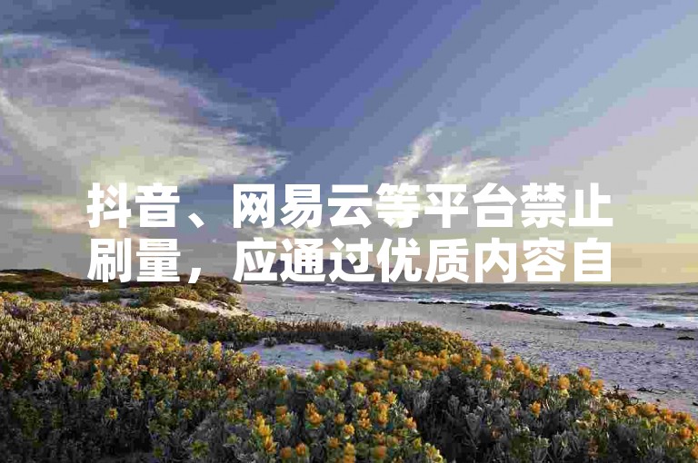 抖音、网易云等平台禁止刷量，应通过优质内容自然获赞吸粉。
