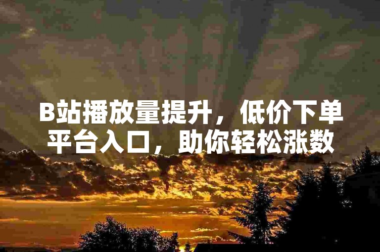 B站播放量提升，低价下单平台入口，助你轻松涨数据。