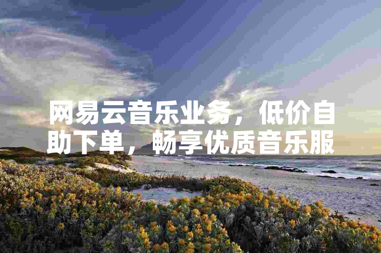 网易云音乐业务，低价自助下单，畅享优质音乐服务。