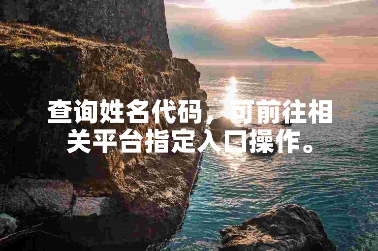查询姓名代码，可前往相关平台指定入口操作。