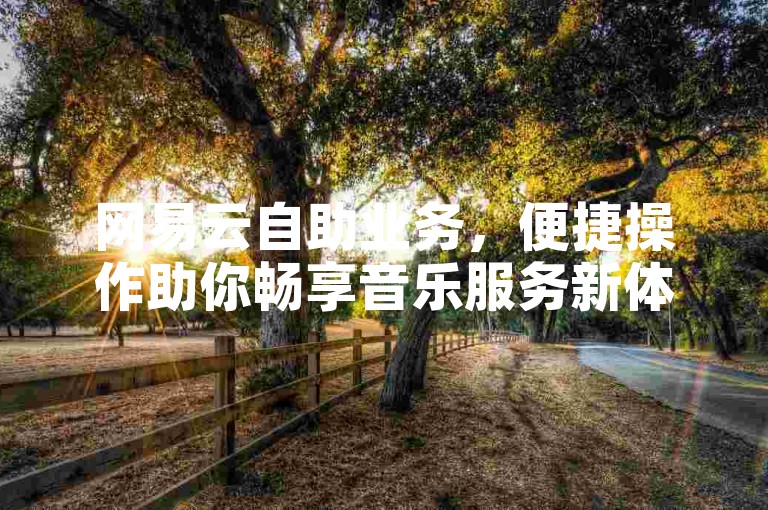 网易云自助业务，便捷操作助你畅享音乐服务新体验。