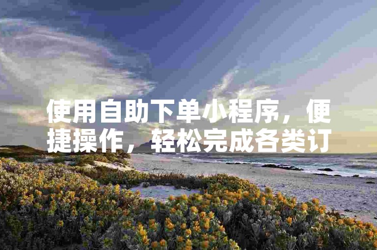使用自助下单小程序，便捷操作，轻松完成各类订单需求。