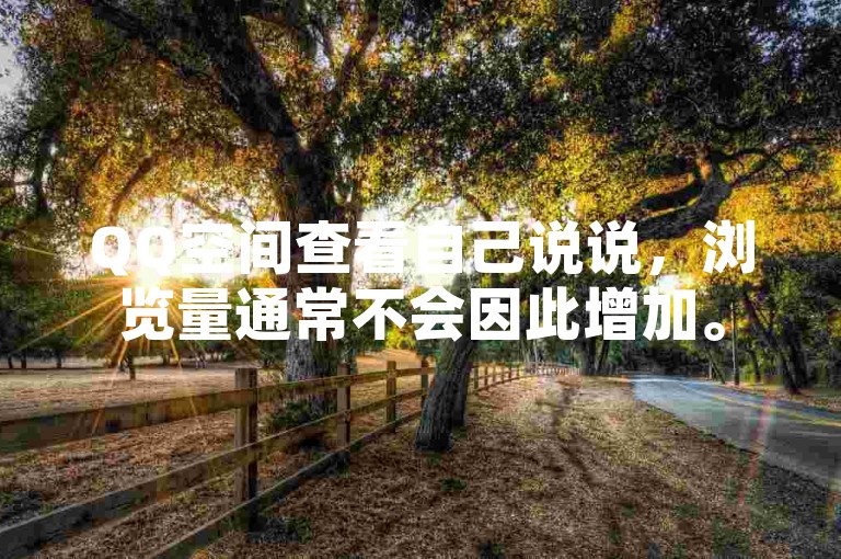 QQ空间查看自己说说，浏览量通常不会因此增加。