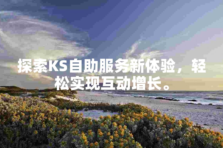 探索KS自助服务新体验，轻松实现互动增长。