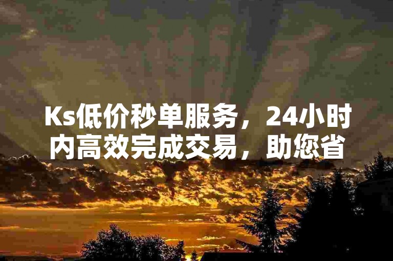 Ks低价秒单服务，24小时内高效完成交易，助您省心省力。