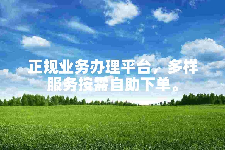 正规业务办理平台，多样服务按需自助下单。