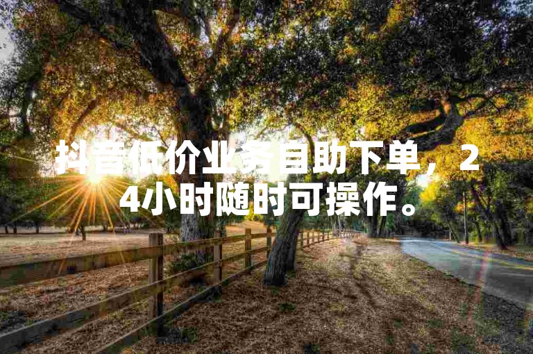 抖音低价业务自助下单，24小时随时可操作。