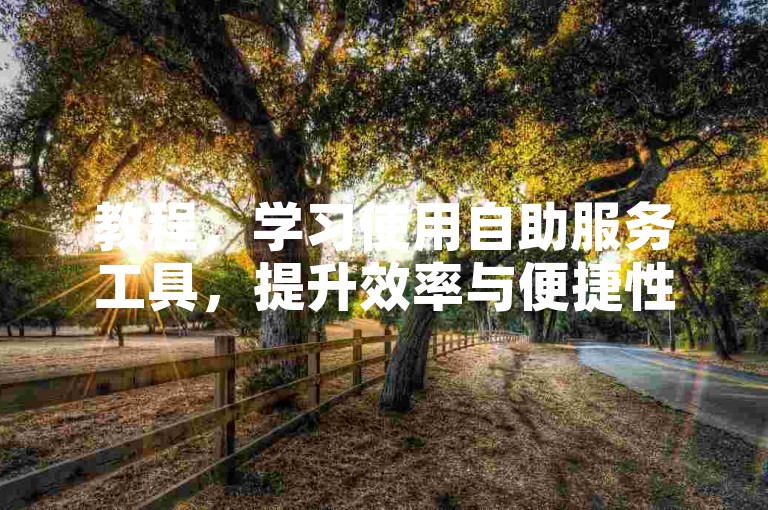 教程，学习使用自助服务工具，提升效率与便捷性。