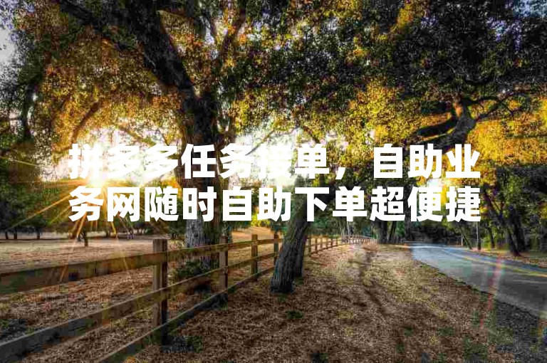 拼多多任务接单，自助业务网随时自助下单超便捷。