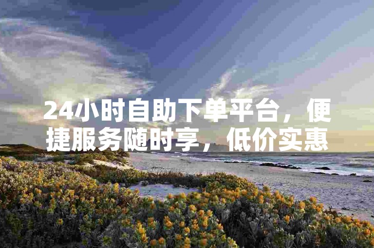 24小时自助下单平台，便捷服务随时享，低价实惠任你选。