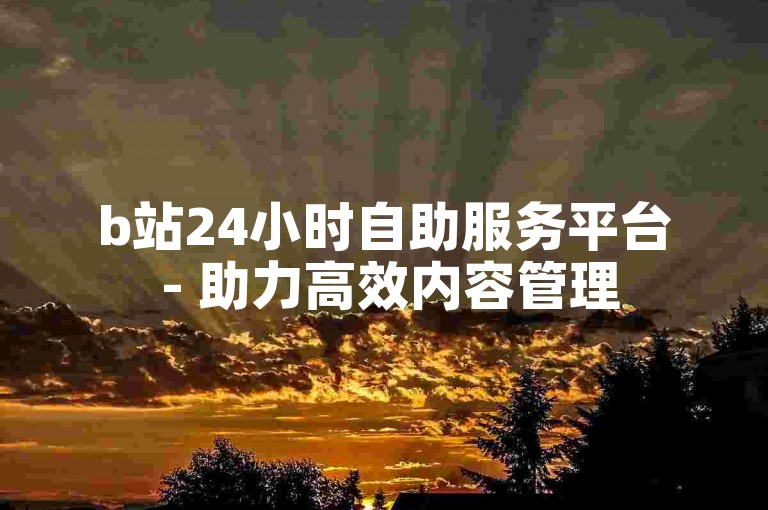 b站24小时自助服务平台 - 助力高效内容管理