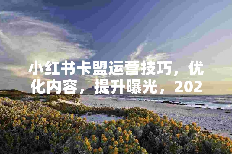 小红书卡盟运营技巧，优化内容，提升曝光，2025轻松上手！