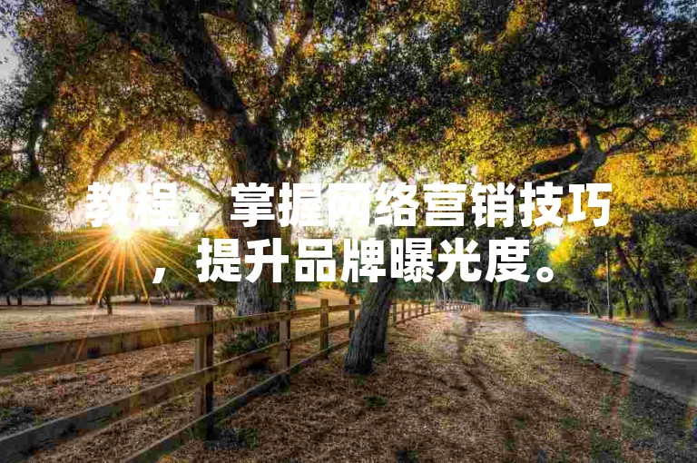 教程，掌握网络营销技巧，提升品牌曝光度。