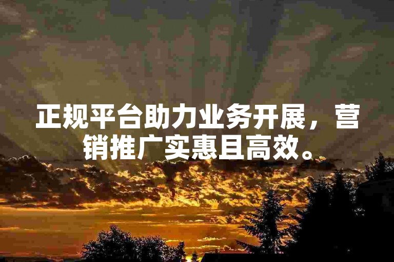 正规平台助力业务开展，营销推广实惠且高效。