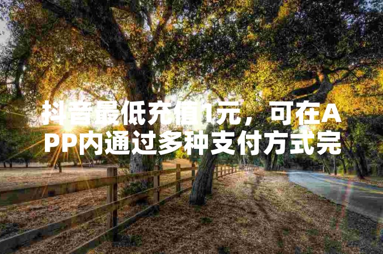 抖音最低充值1元，可在APP内通过多种支付方式完成。