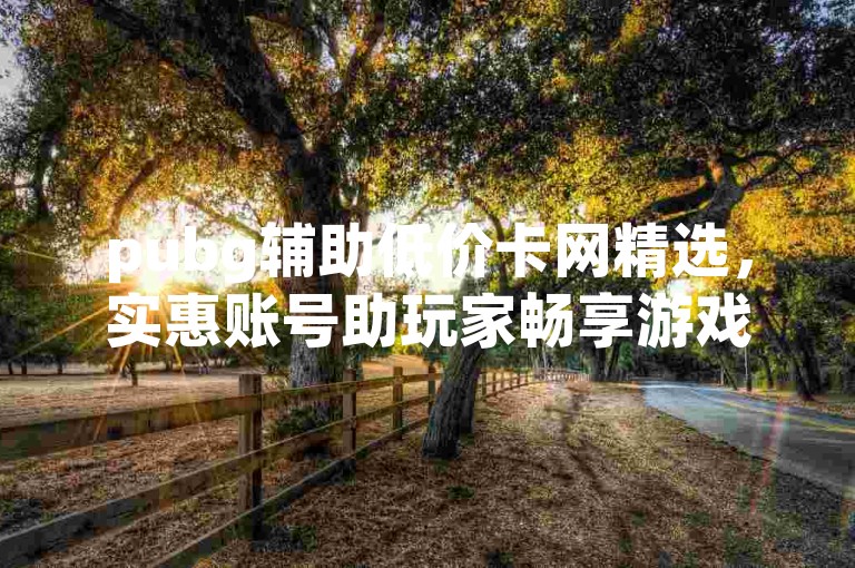 pubg辅助低价卡网精选，实惠账号助玩家畅享游戏乐趣。
