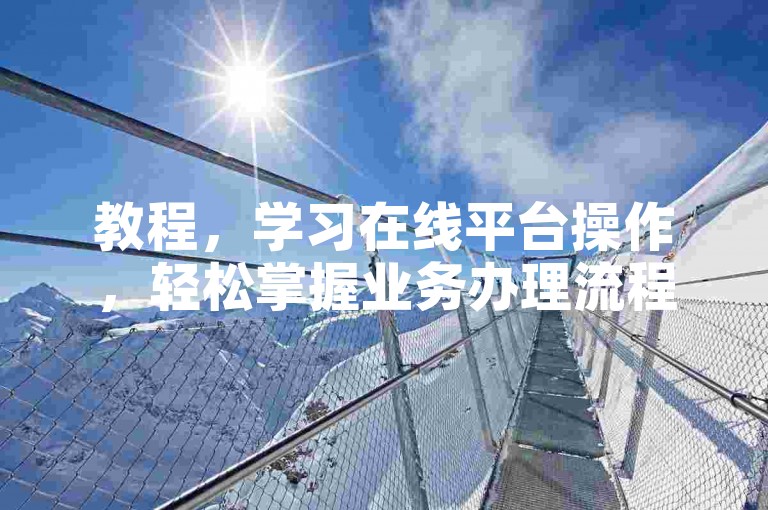 教程，学习在线平台操作，轻松掌握业务办理流程与技巧。