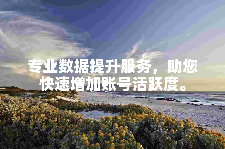 专业数据提升服务，助您快速增加账号活跃度。