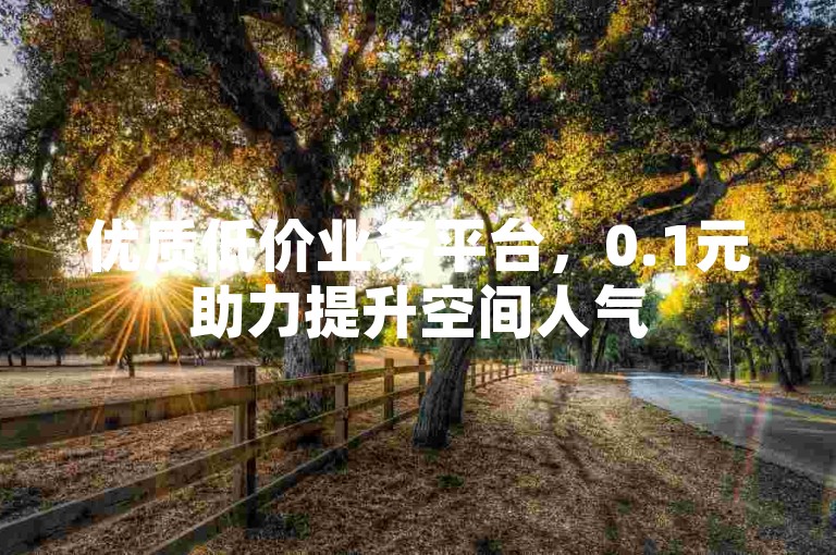 优质低价业务平台，0.1元助力提升空间人气