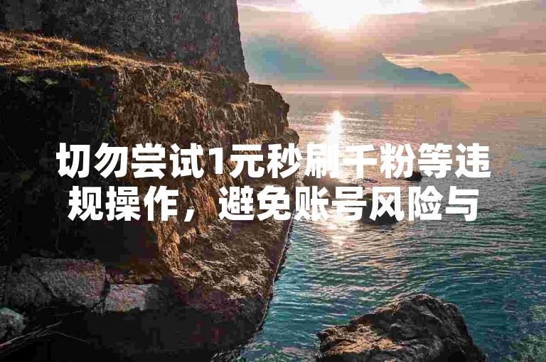 切勿尝试1元秒刷千粉等违规操作，避免账号风险与不良后果。