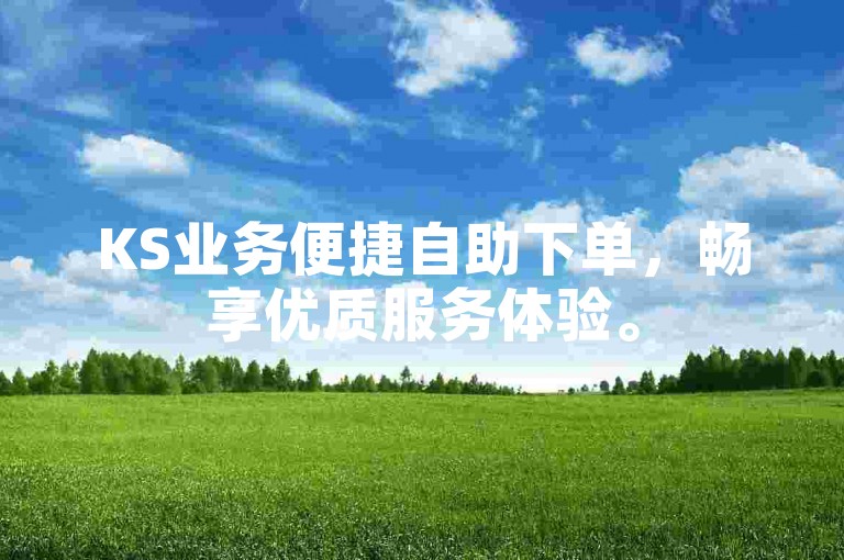 KS业务便捷自助下单，畅享优质服务体验。