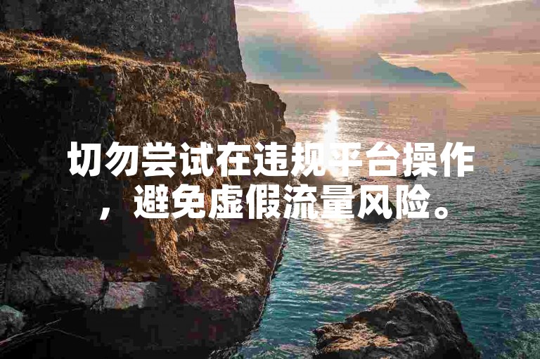 切勿尝试在违规平台操作，避免虚假流量风险。