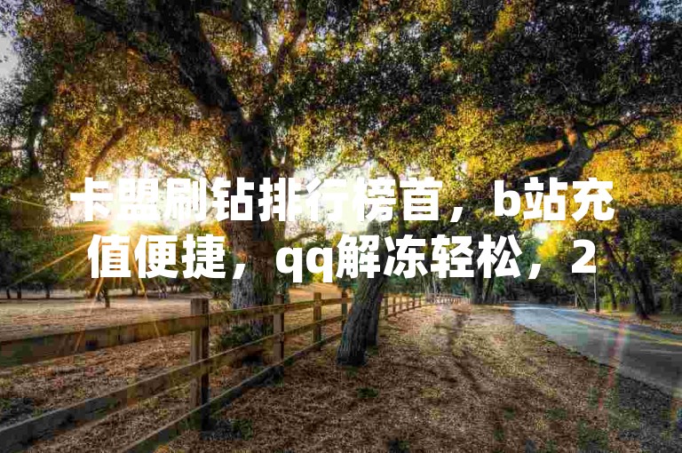 卡盟刷钻排行榜首，b站充值便捷，qq解冻轻松，2024免费领阅读VIP