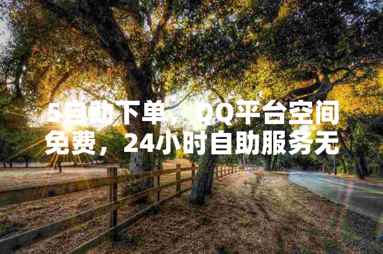 5自助下单，QQ平台空间免费，24小时自助服务无障碍。