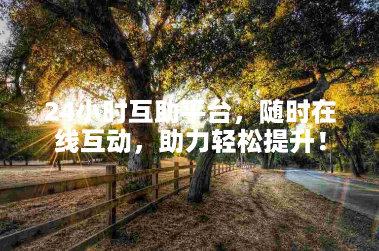24小时互助平台，随时在线互动，助力轻松提升！