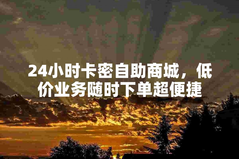 24小时卡密自助商城，低价业务随时下单超便捷