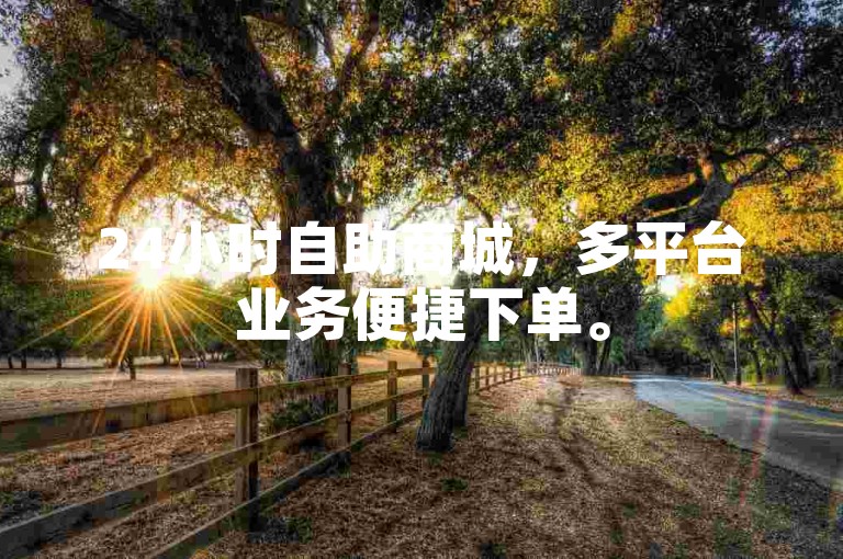 24小时自助商城，多平台业务便捷下单。