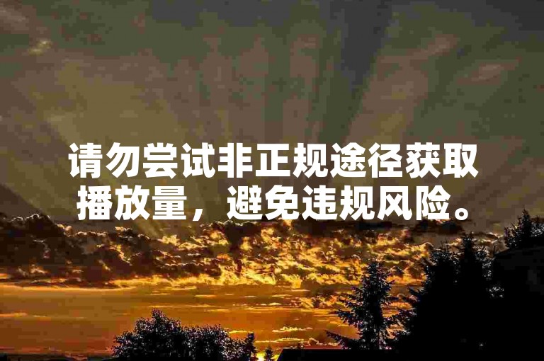 请勿尝试非正规途径获取播放量，避免违规风险。