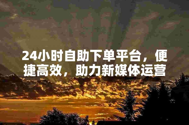 24小时自助下单平台，便捷高效，助力新媒体运营。