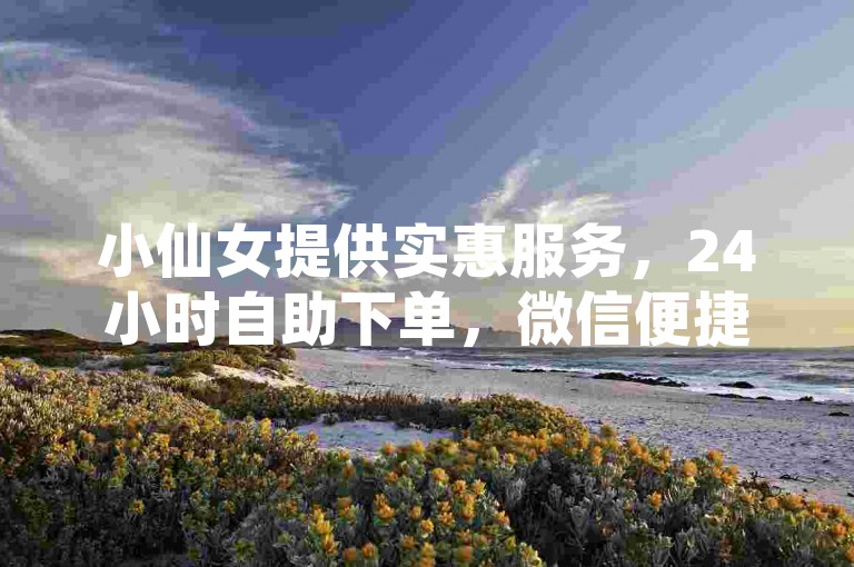 小仙女提供实惠服务，24小时自助下单，微信便捷操作。