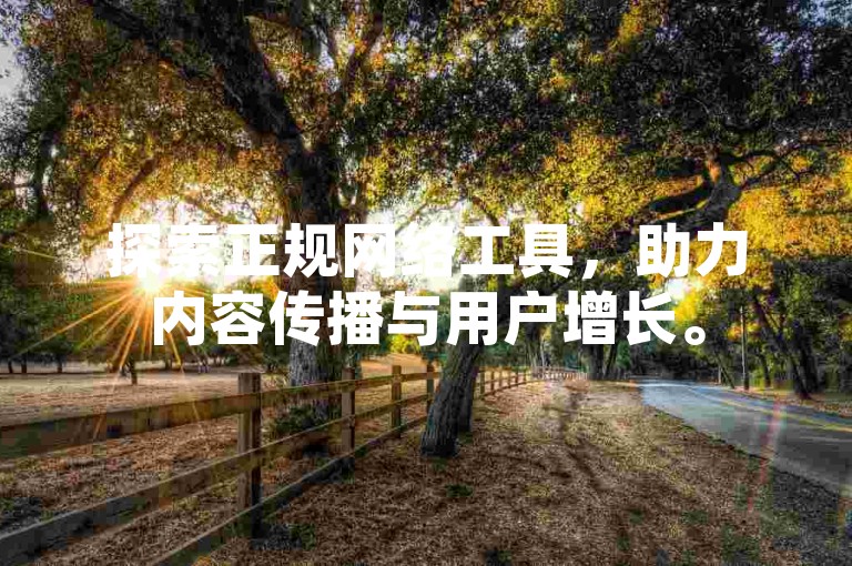 探索正规网络工具，助力内容传播与用户增长。